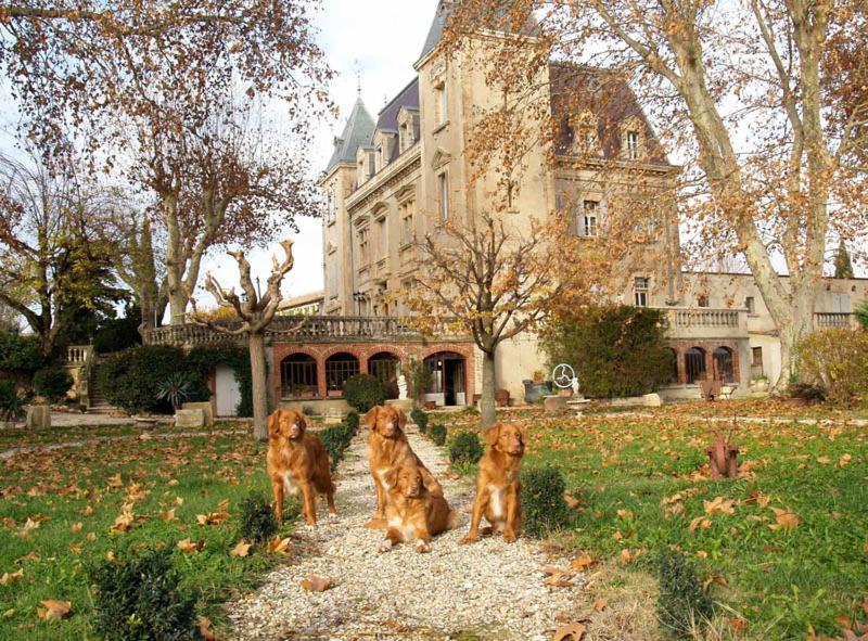 Le Mogador Chateau Du Martinet Violès Exteriér fotografie